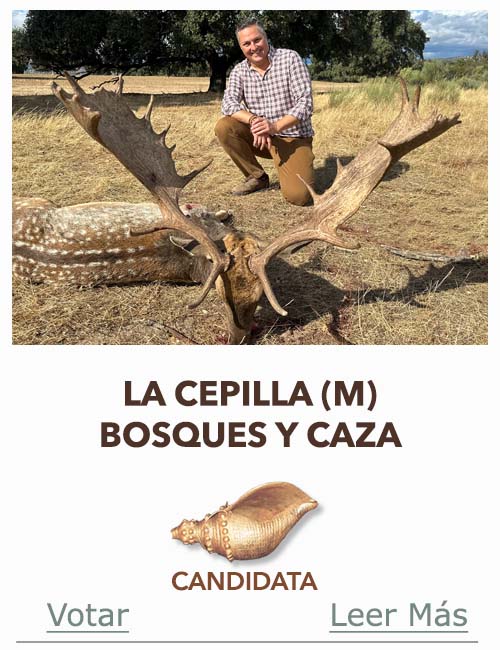 Monteria Candidata a Caracola